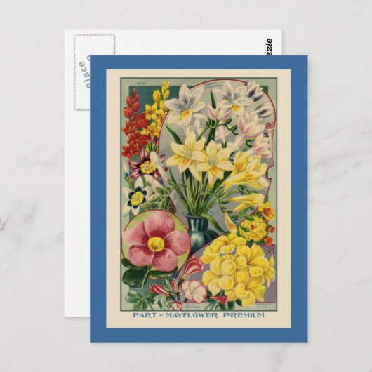 ヴィンテージの花種カタログ ポストカード (正面/裏面)
