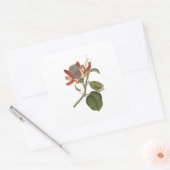 ヴィンテージの花 スクエアシール (封筒)