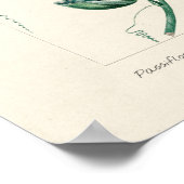 ヴィンテージの花 ポスター (角)