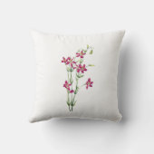 ヴィンテージの花 – Centaurium by Mary Vaux Walcott クッション (裏面)