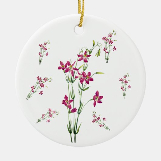 ヴィンテージの花 – Centaurium by Mary Vaux Walcott セラミックオーナメント (正面)