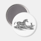 ヴィンテージの芸術のシマウマのロバおよび子馬の野性生物の磁石 マグネット (正面/裏面)