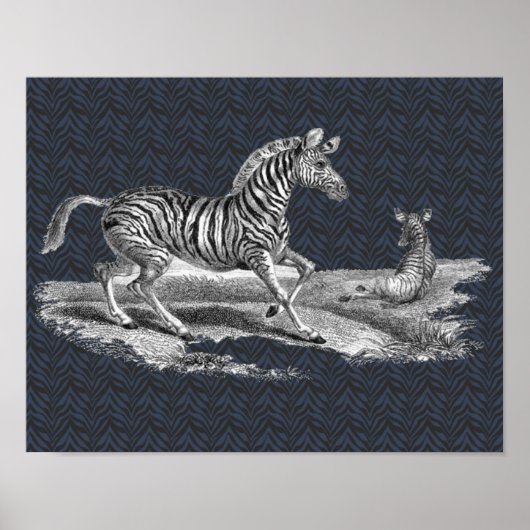 ヴィンテージの芸術のシマウマのロバおよび子馬動物ポスター ポスター (正面)