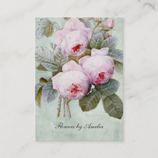 ヴィンテージの英国のバラ園の植物のぽっちゃりした 名刺 (正面)