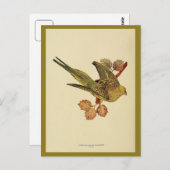 ヴィンテージの草のパレーケートのカラー写真 ポストカード (正面/裏面)