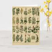 ヴィンテージの草の挨拶状シリーズ- 2 カード (黄色い花)