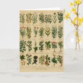 ヴィンテージの草の挨拶状シリーズ- 3 カード (黄色い花)