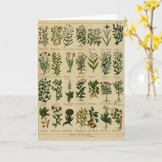 ヴィンテージの草の挨拶状シリーズ- 3 カード (黄色い花)