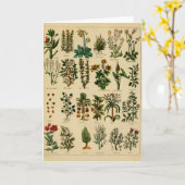 ヴィンテージの草の挨拶状シリーズ- 5 カード (黄色い花)