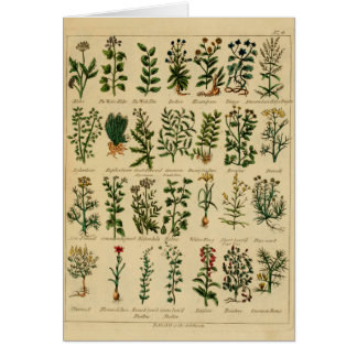 ヴィンテージの草の郵便はがきシリーズ- 4