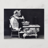 ヴィンテージの葉書 ドレスを着た猫が料理 ポストカード (正面)