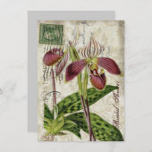 ヴィンテージの蘭の花のブライダルシャワーのお茶会 招待状 (正面/裏面)