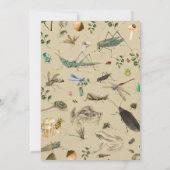 ヴィンテージの虫のテーマの誕生日のパーティの招待状 招待状 (裏面)