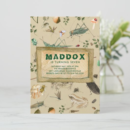ヴィンテージの虫のテーマの誕生日のパーティの招待状 招待状 (スタンド正面)