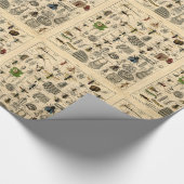 ヴィンテージの虫の昆虫の図解入りの、写真付きのな図表のギフト用包装紙 ラッピングペーパー (角)