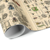 ヴィンテージの虫の昆虫の図解入りの、写真付きのな図表のギフト用包装紙 ラッピングペーパー (ロールコーナー)