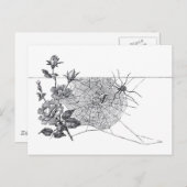 ヴィンテージの蜘蛛の巣は上がり、 ポストカード (正面/裏面)