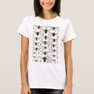 ヴィンテージの蝉のイラストレーション Tシャツ