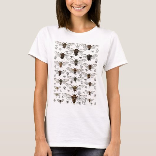 ヴィンテージの蝉のイラストレーション Tシャツ (正面)