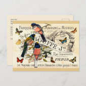 ヴィンテージの蝶と鳥のフランス広告、メッセージ付き ポストカード (正面/裏面)