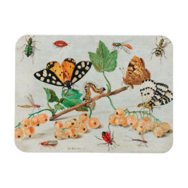 ヴィンテージの蝶の果実のイラストレーション マグネット