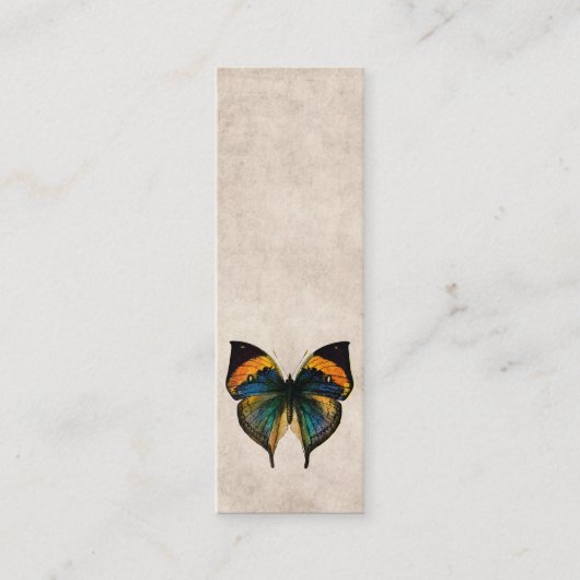 ヴィンテージの蝶イラストレーション1800'sの蝶 スキニー名刺 (正面)