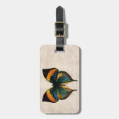 ヴィンテージの蝶イラストレーション1800'sの蝶 ラゲッジタグ (正面縦)