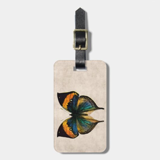ヴィンテージの蝶イラストレーション1800'sの蝶 ラゲッジタグ (正面縦)