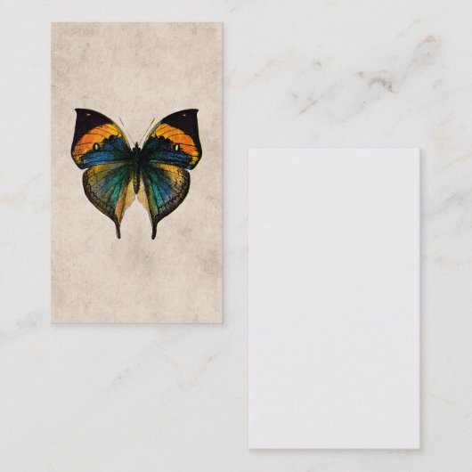 ヴィンテージの蝶イラストレーション-蝶 名刺 (正面/裏面)