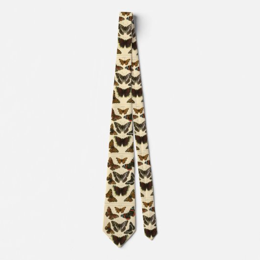 ヴィンテージの蝶分類学のプリント ネクタイ (正面)