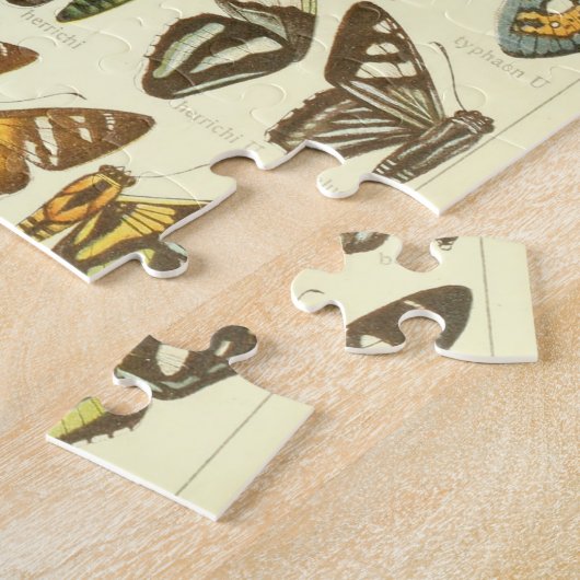 ヴィンテージの蝶種の図表 ジグソーパズル (側面)