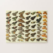 ヴィンテージの蝶種の図表 ジグソーパズル (横)