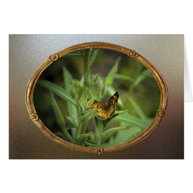 ヴィンテージの蝶 (正面横)