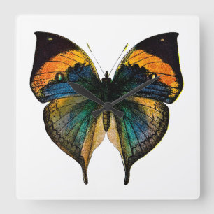 ヴィンテージの蝶- 1800'sアンティークButterfies スクエア壁時計