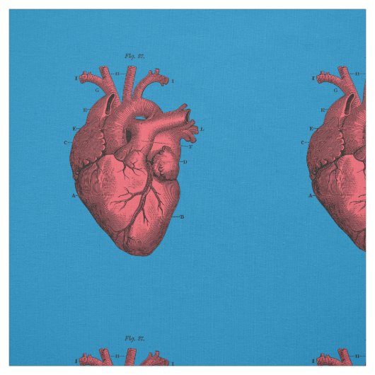 ヴィンテージの解剖ハートのバレンタインデー ファブリック (見本)