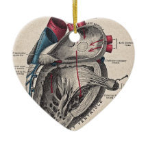 ヴィンテージの解剖ハート
