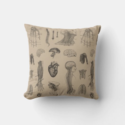 ヴィンテージの解剖学のプリント クッション (正面)