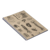 ヴィンテージの解剖学のプリント ノートブック (右側)