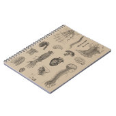 ヴィンテージの解剖学のプリント ノートブック (左側)