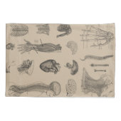 ヴィンテージの解剖学のプリント 枕カバー (裏面-左)