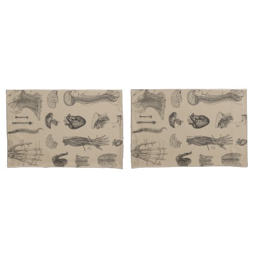 ヴィンテージの解剖学のプリント 枕カバー (フロントセット)