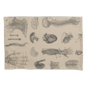 ヴィンテージの解剖学のプリント 枕カバー (正面左)