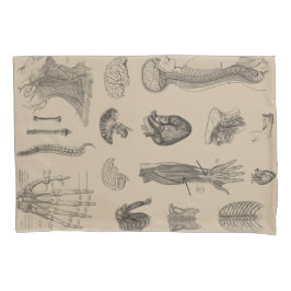 ヴィンテージの解剖学のプリント 枕カバー