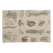 ヴィンテージの解剖学のプリント 枕カバー (正面右)