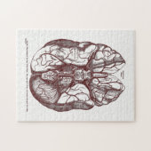 ヴィンテージの解剖学的な動脈のヒトの脳赤 ジグソーパズル (横)