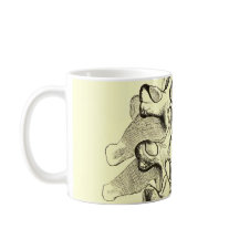 ヴィンテージの解剖学|の椎骨