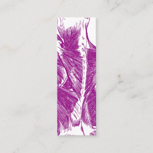 ヴィンテージの解剖学|の背筋|の紫色 スキニー名刺 (正面)