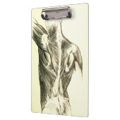 ヴィンテージの解剖学|の背筋(1852年頃) クリップボード (左)