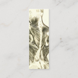 ヴィンテージの解剖学|の背筋(1852年頃) スキニー名刺