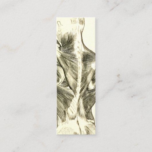 ヴィンテージの解剖学|の背筋(1852年頃) スキニー名刺 (正面)